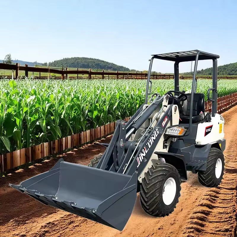 Low Fuel Consumption Economical CVT Diesel Wheel Loader 4WD - Main product photo
