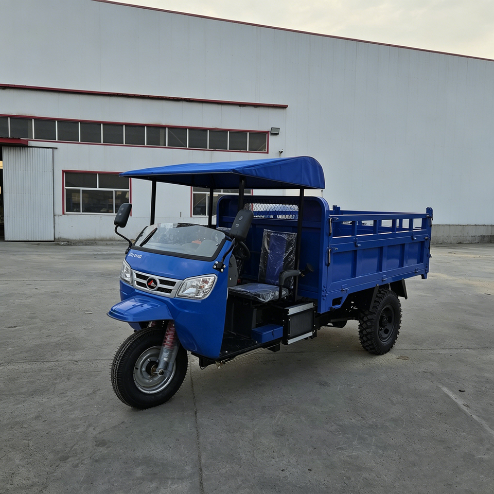 Hot Selling High Quality Diesel Engine Open Body Cargo Tricycle for Farm Use - Detail view 2