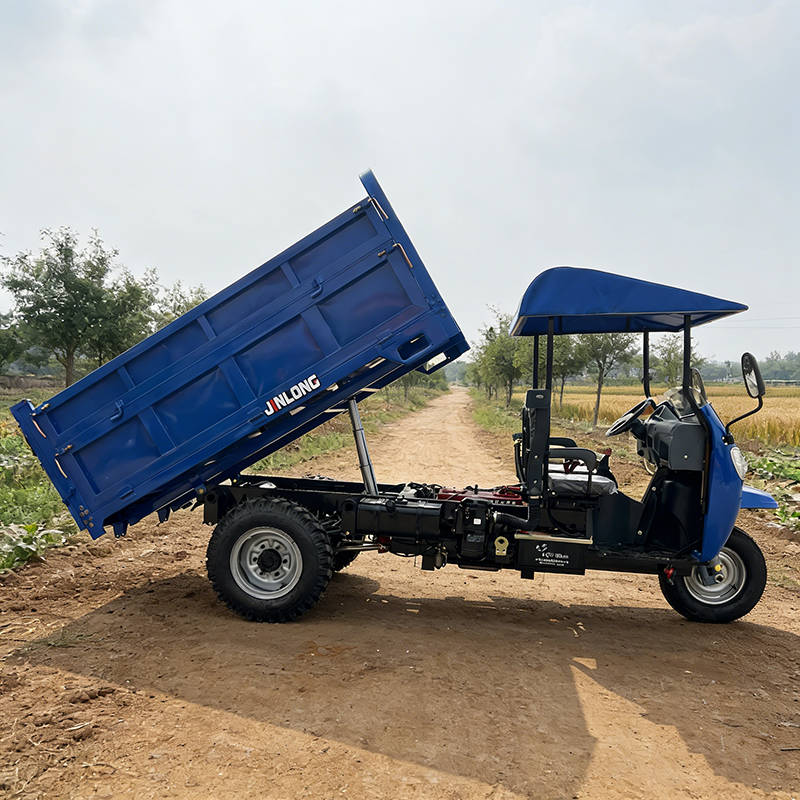 Urban Trash Dumper Tricycle Enclosed Cab for Sanitation Workers - Detail view 2