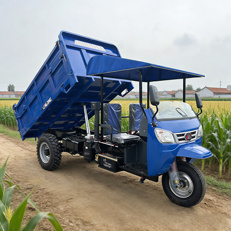 Urban Trash Dumper Tricycle Enclosed Cab for Sanitation Workers - Detail view 3